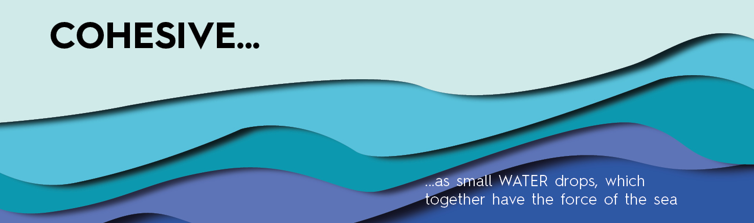 Cohesion