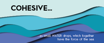 Cohesion